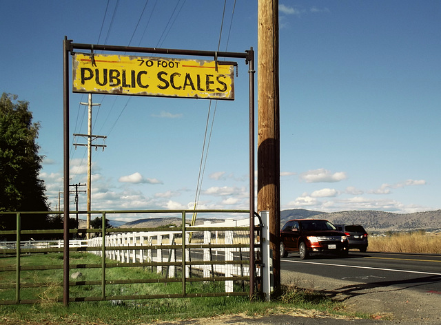 Public Scales
