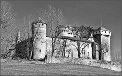 Trept (38) 17 février 2014. Château de Serrières.