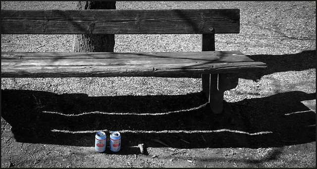 #31 A park bench