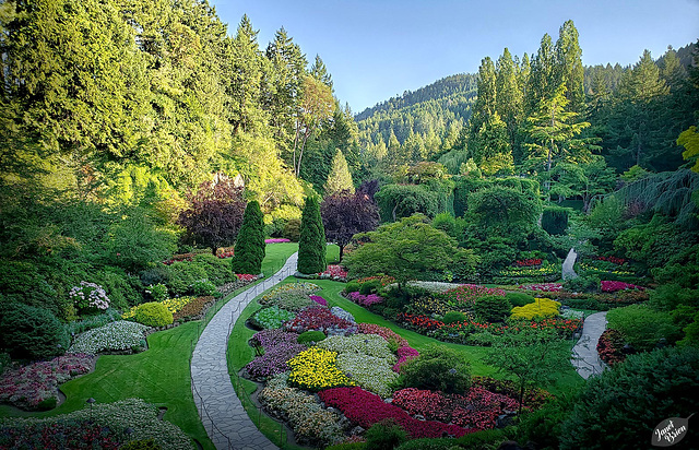 Victoria's Butchart Gardens, Part 1: The Sunken Garden and MUCH MORE! (+10 insets)