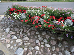Flowers to Mikkeli