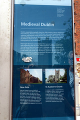 IMG 5436-001-Medieval Dublin