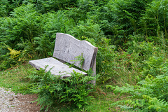 Bench on the Ullswater Way path