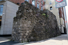 IMG 5438-001-Medieval Wall 1