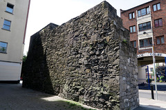 IMG 5439-001-Medieval Wall 2