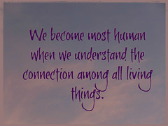 .. on being human