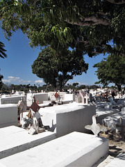 Lits funéraires / Funerary white beds