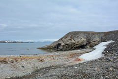 Svalbard, Northern Coast of Isfjørden