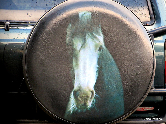 On A Spare Wheel Cover.