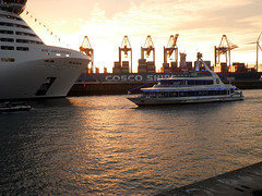 Hafenrundfahrt vor MSC Grandiosa
