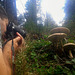 Mushroom colector and photographer