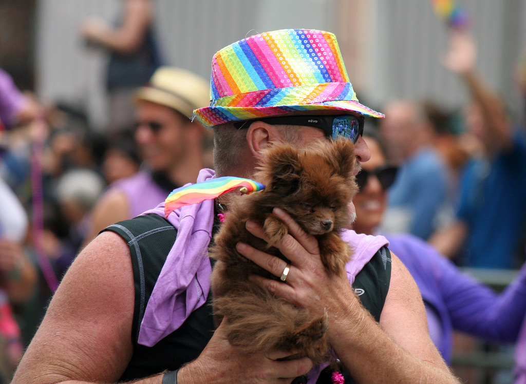 San Francisco Pride Parade 2015 (5608)