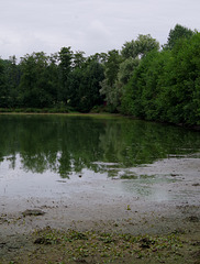 l'étang Closure - Lapeyrouse - Ain
