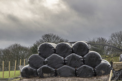 Silage hexagons