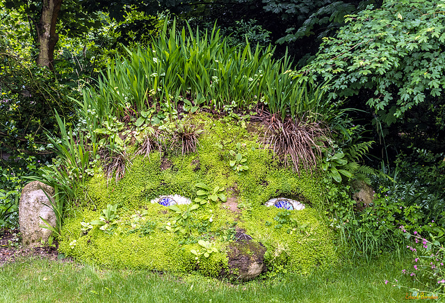 The Lost Gardens of Heligan - The Giant’s Head