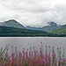 View across Loch Lomond from Inversnaid 8th August 2021