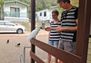 cockatoos by our cabin