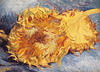 Detail of Sunflowers by Van Gogh in the Metropolitan Museum of Art, July 2018