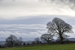 Whirlow Farm cloudscape with trees 2