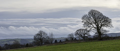 Whirlow Farm cloudscape with trees 3