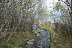 Norway, Unnamed Creek in the Park of Alta Museum