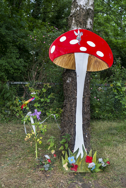 New Flowers at the Giant Toadstool