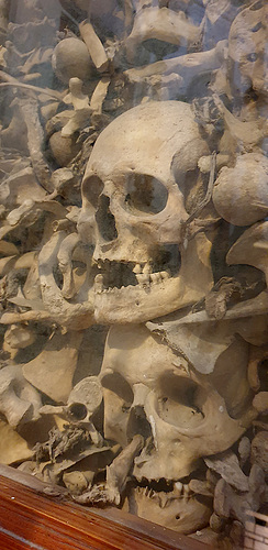 Skulls, Up Close