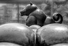 Botero¨s statues, curves