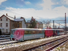 Ferkeltaxen-Zug im Bahnhof Neumark
