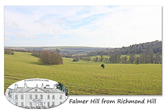 Falmer Hill from Richmond Hill in Stanmer Park - 1.4.2016