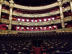 Palais Garnier - Opéra National de Paris (21)
