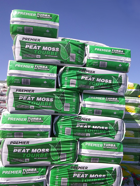 Tower of peat moss