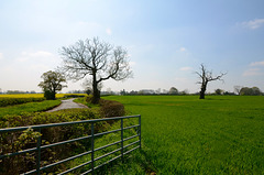 Fields near Church Eaton