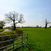 Fields near Church Eaton