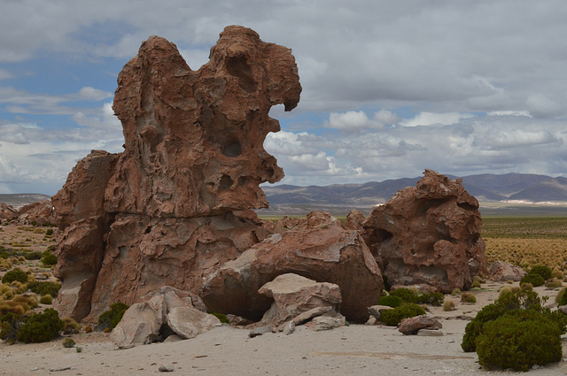Bolivia, Valley of the Rocks (Valle de las Rocas), Rock-Parrot