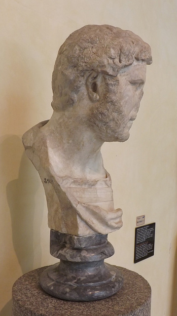 Portrait of Hadrian from the Horti Tauriani in the Capitoline Museum, July 2012