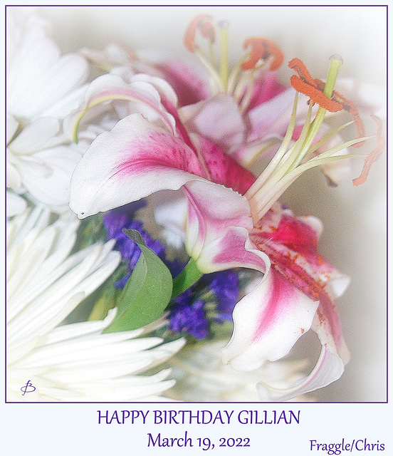 Happy Birthday Gillian 3/10/22
