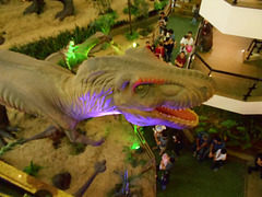DSCN2694 - Tyrannosaurus rex, Theropoda