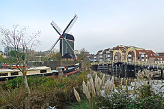 Nederland - Leiden, De Put