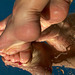 Sara's watering feet / Pieds marins de mon amie Elzbennet