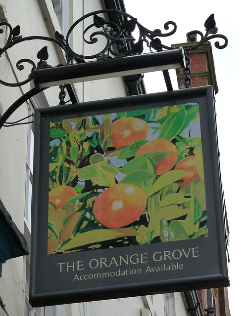 'The Orange Grove'