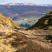 Kinder scout from Cown Edge