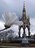 Albert Memorial and flower