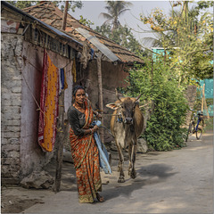 Baranagar, India