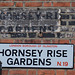 Hornsey Rise Gardens, N19