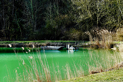 Der grüne See - The green pond