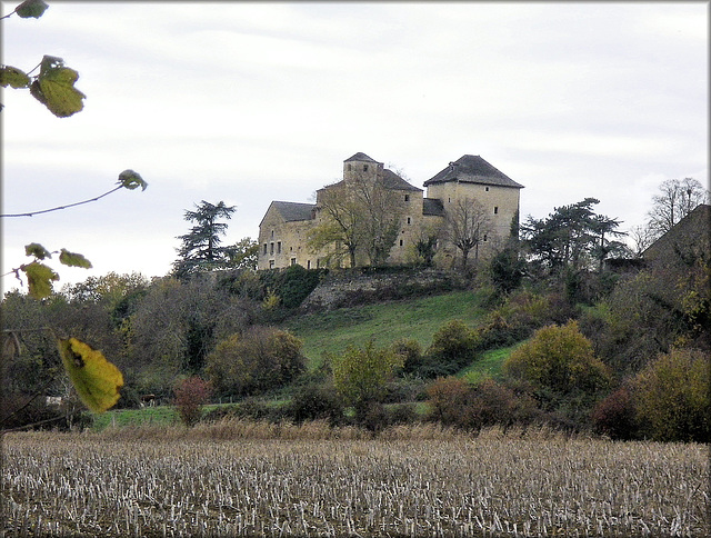 Saint-Hilaire-de-Brens (38) 14 novembre 2009.