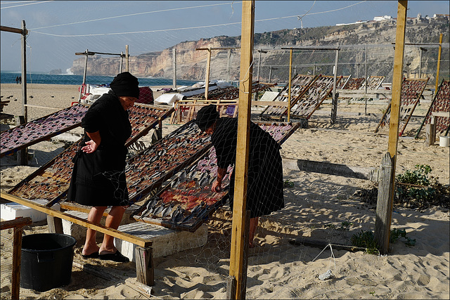 Nazaré, mulheres na praia, secagem do peixe.