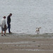 This little dog was loving running in and out of the sea