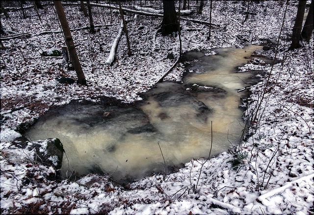 frozen creek